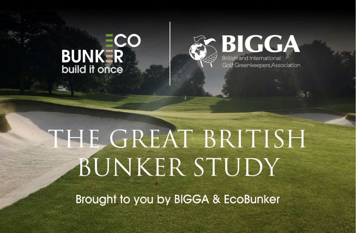 GB Bunker Study.jpg