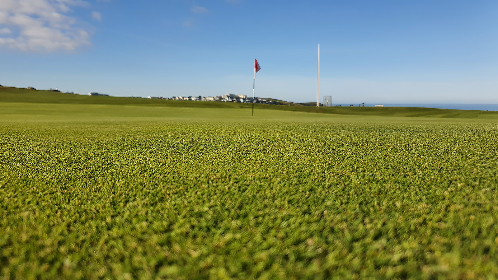 DLL Seeds-Newquay+GC.jpg