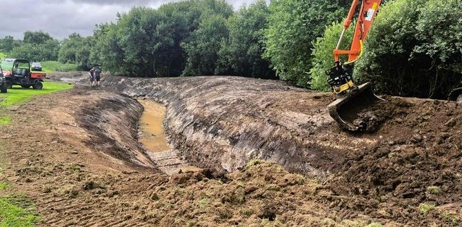 Image - 2025-11-06T090944.448-1200.jpg 1