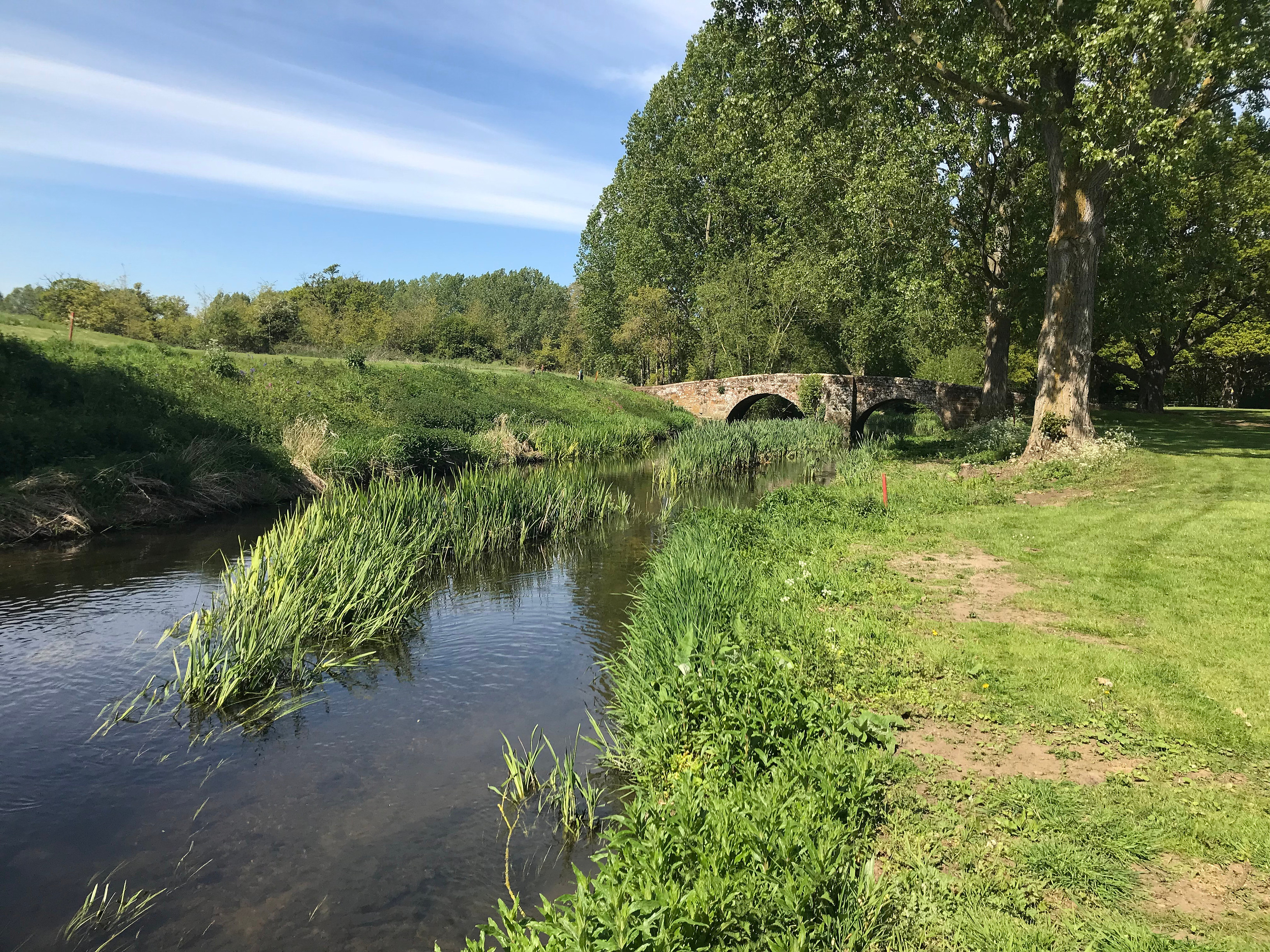 Rough areas alongside the river margin at Stoneleigh Deer Park Golf Club reduce run-off into the watercourse.jpg