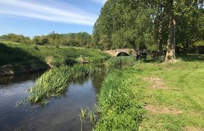 Rough areas alongside the river margin at Stoneleigh Deer Park Golf Club reduce run-off into the watercourse.jpg