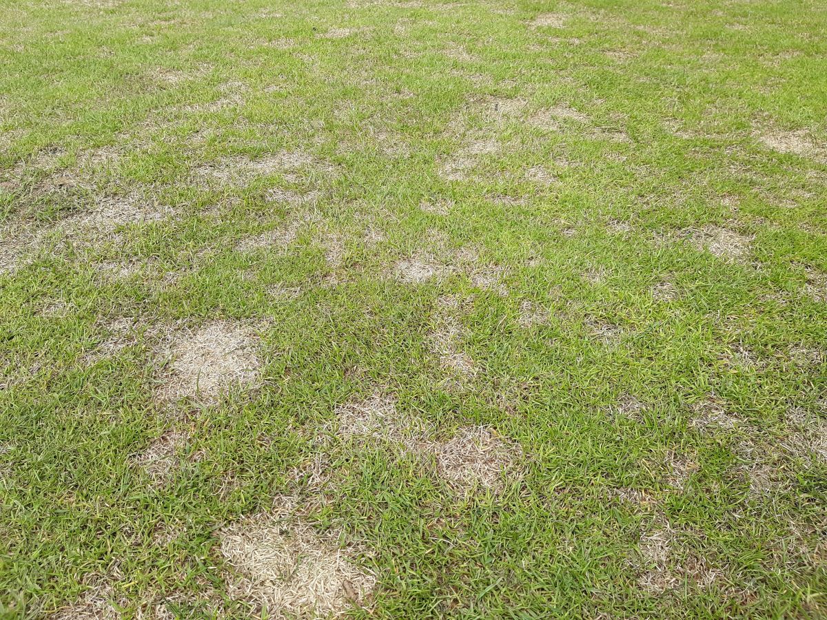 dollar spot tee.jpg
