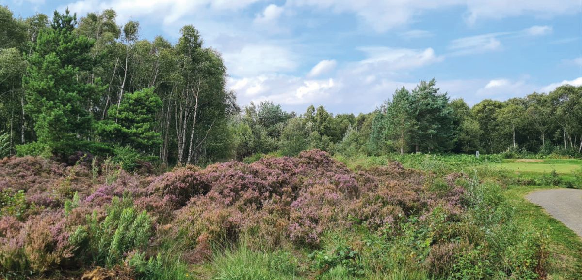 Heather at 2nd.jpg 2