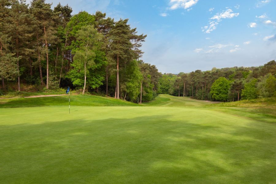 02. Pine Ridge View over 13th green.jpg