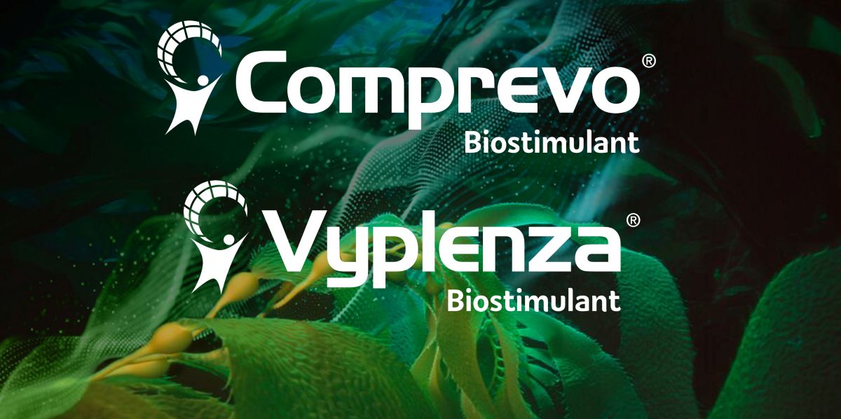 SYNGENTA IMAGE 2-1200.jpg