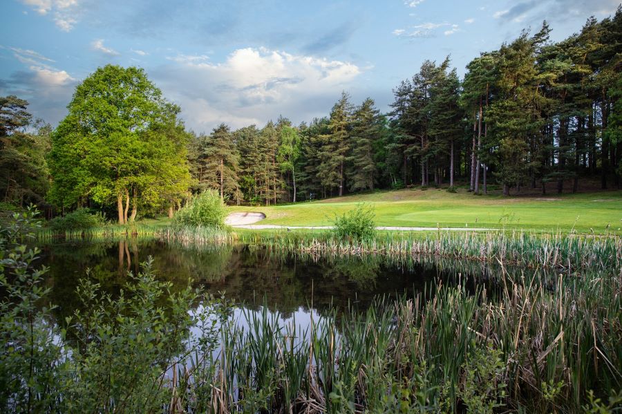 01. Pond by 2nd green Pine Ridge.jpg