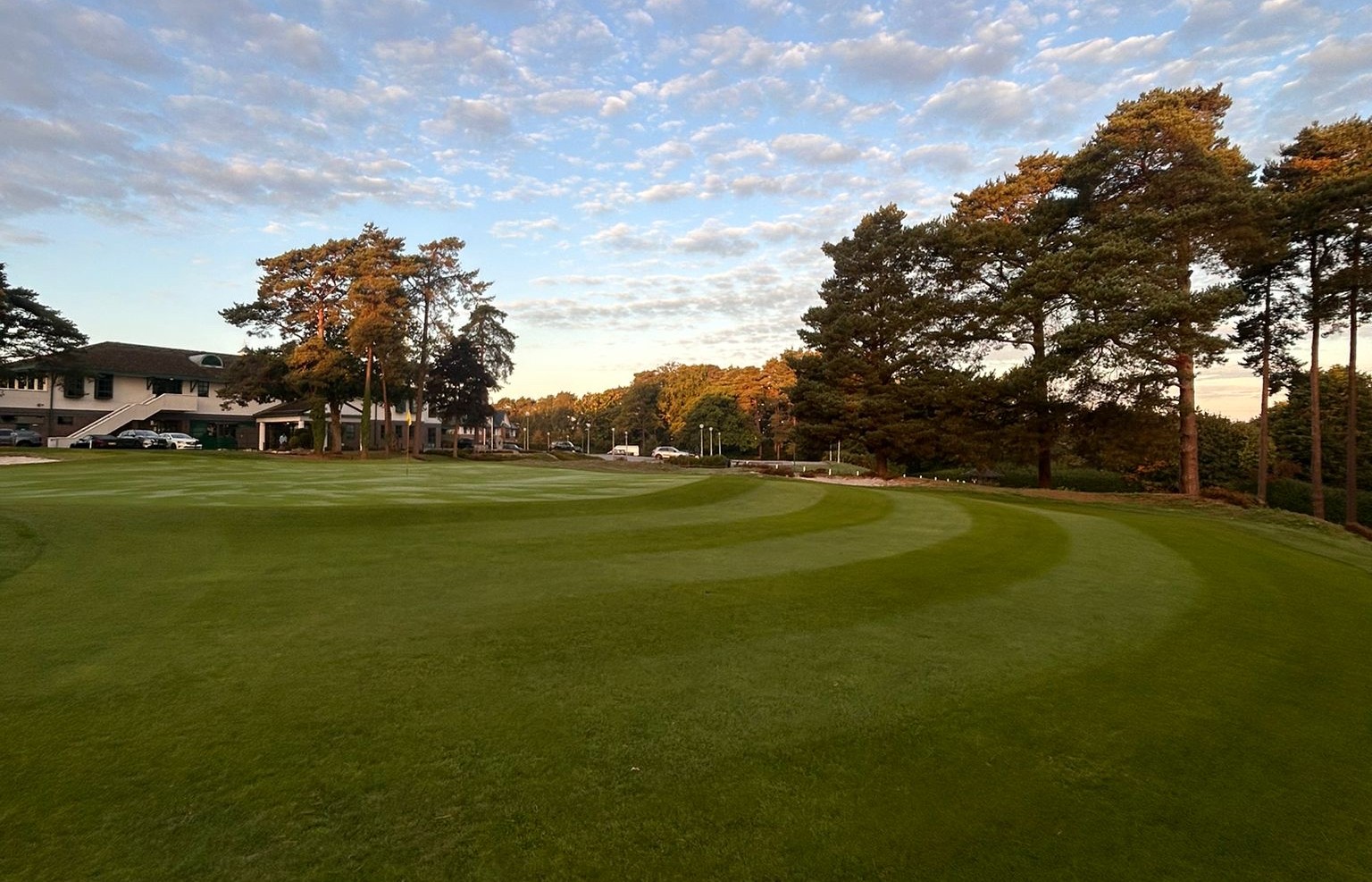 Camberley Heath cropped.jpeg