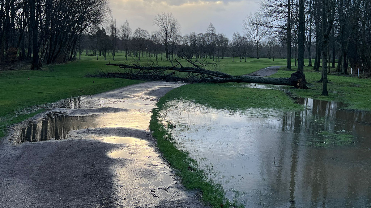 Heavy winds and saturated ground led to fallen trees at Bothwell Castle.jpg