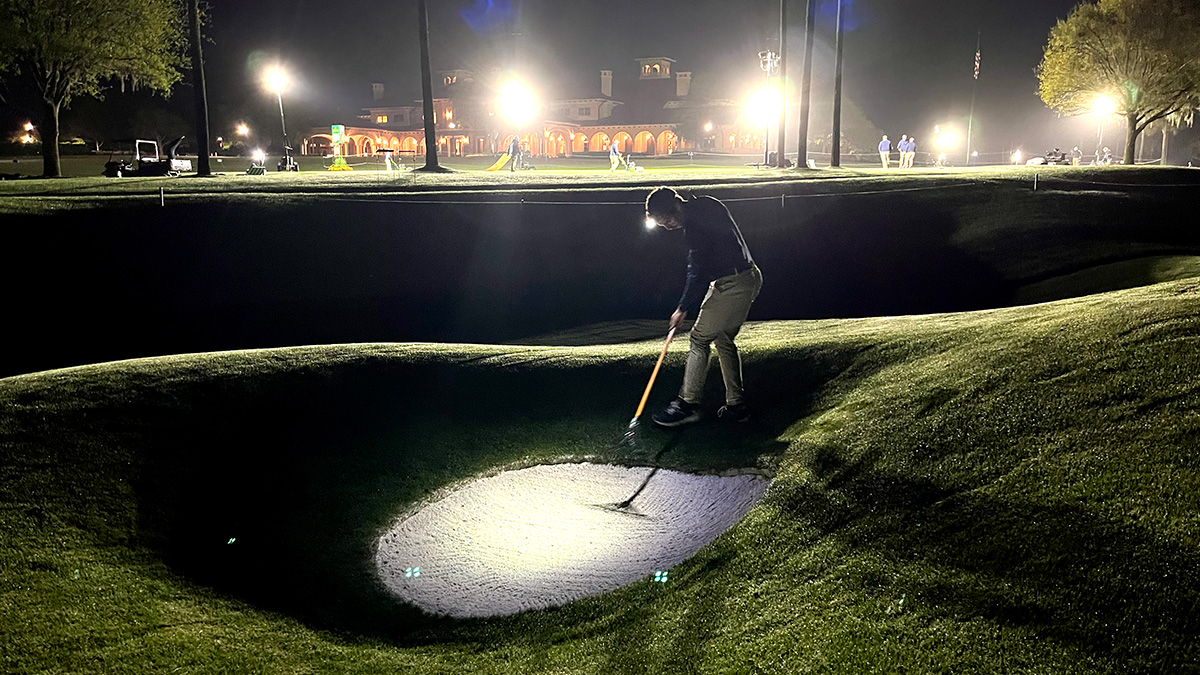 Bunker raking (pre-dawn) 1.jpg