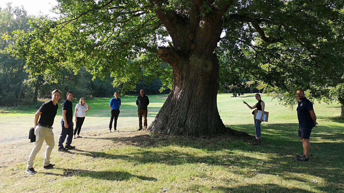 The judges and sponsors checking out Northamptonshire's majestic oak.jpg