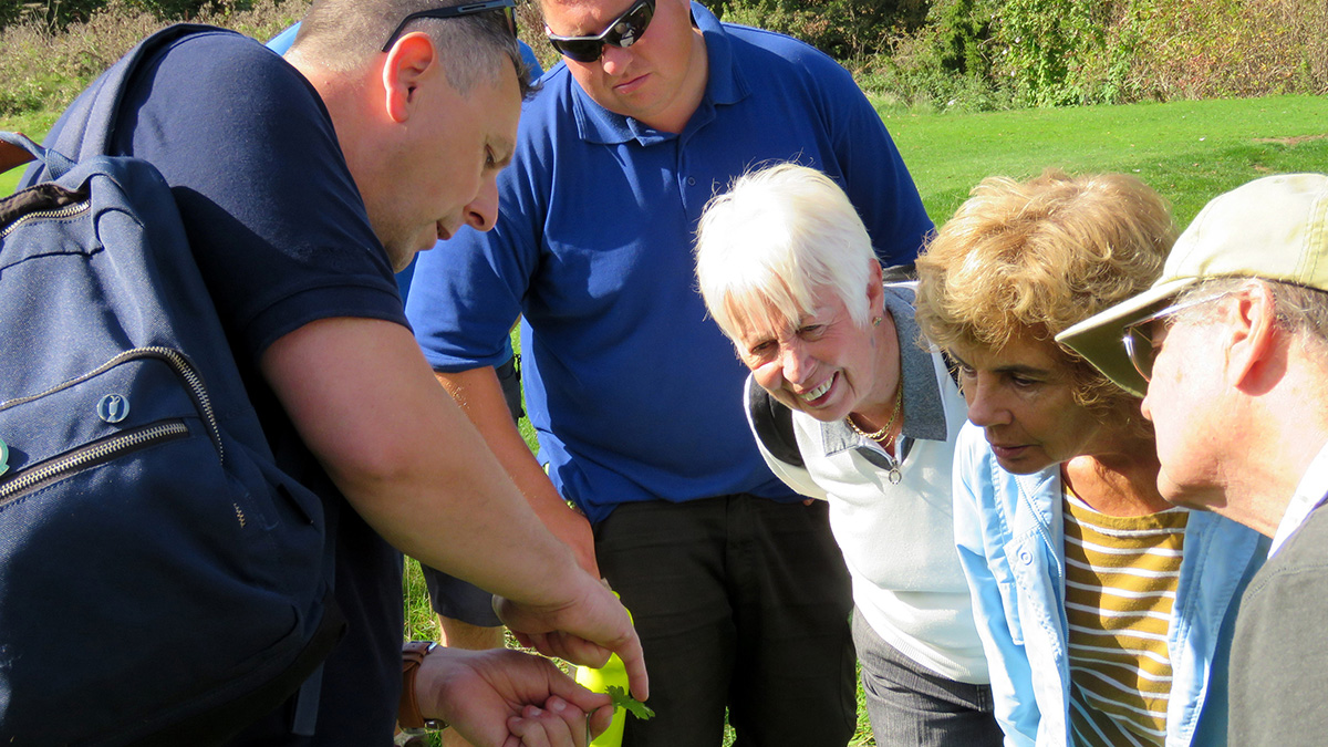 Communications listing.jpg