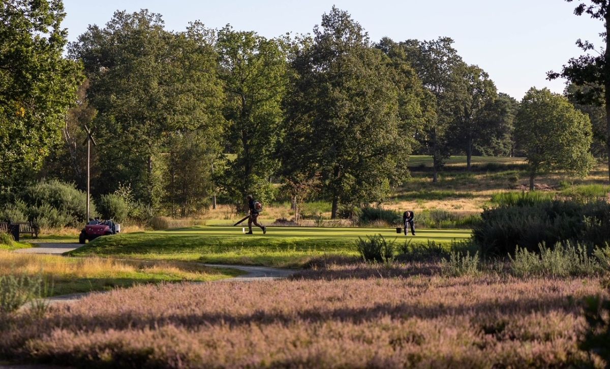 Heather Plot NHants.jpg