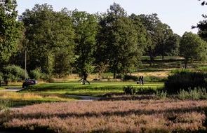 Heather Plot NHants.jpg