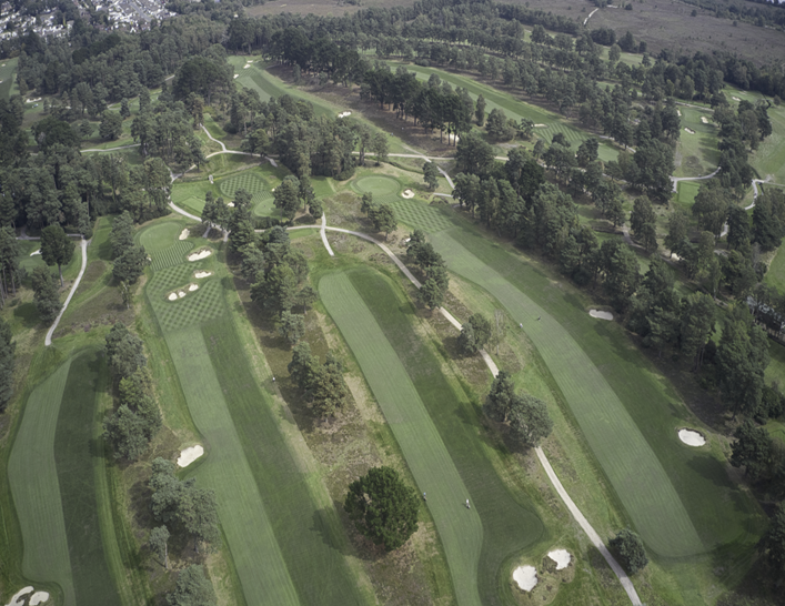 Ferndown overhead.png