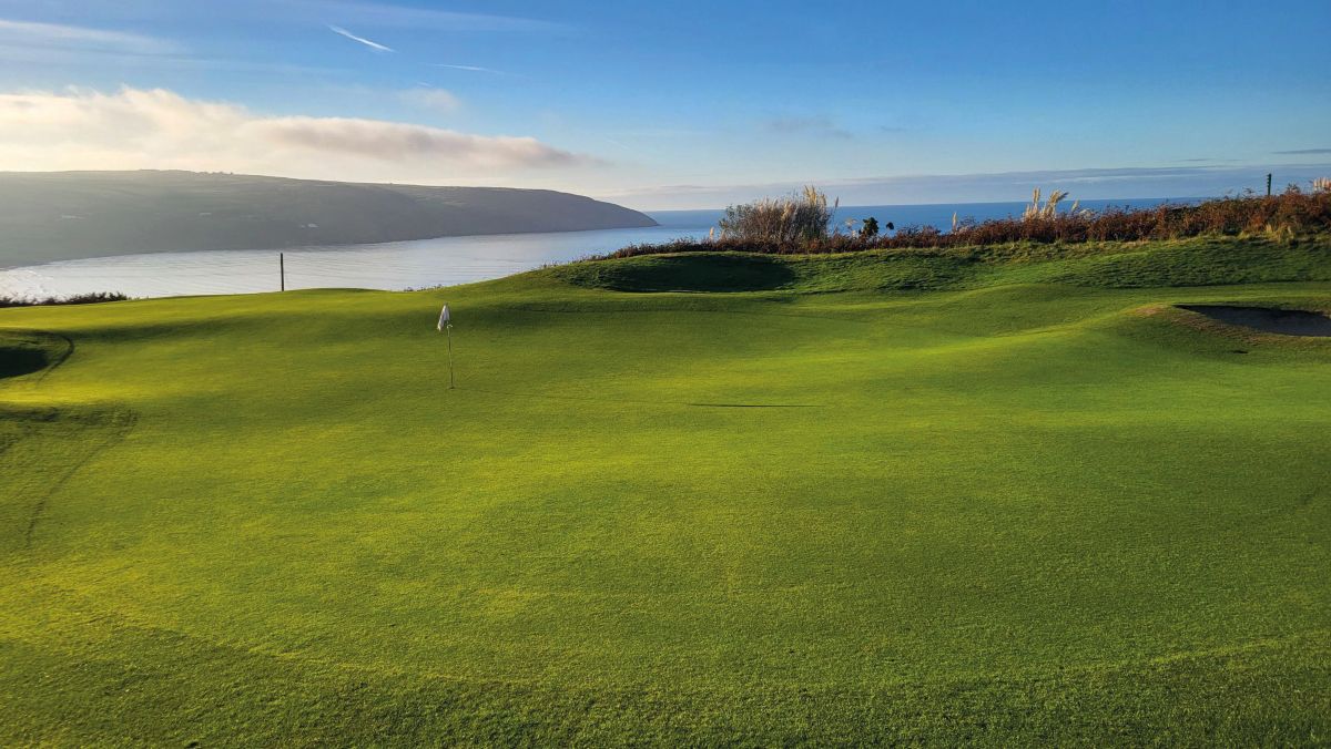 Cardigan GC.jpg