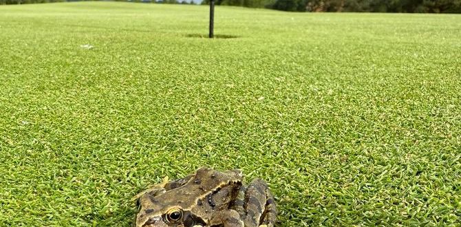 July - Lee-Carratt-Belton Park.jpeg