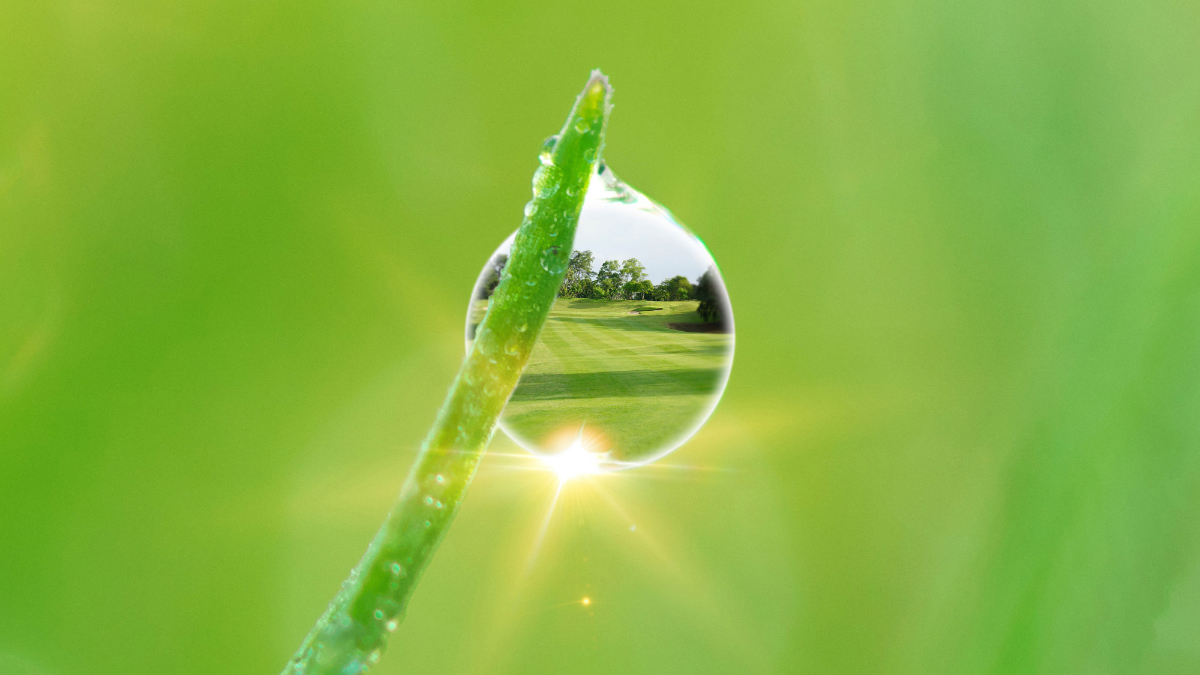 DLF_Dew-Drop_Golf-Image.jpg