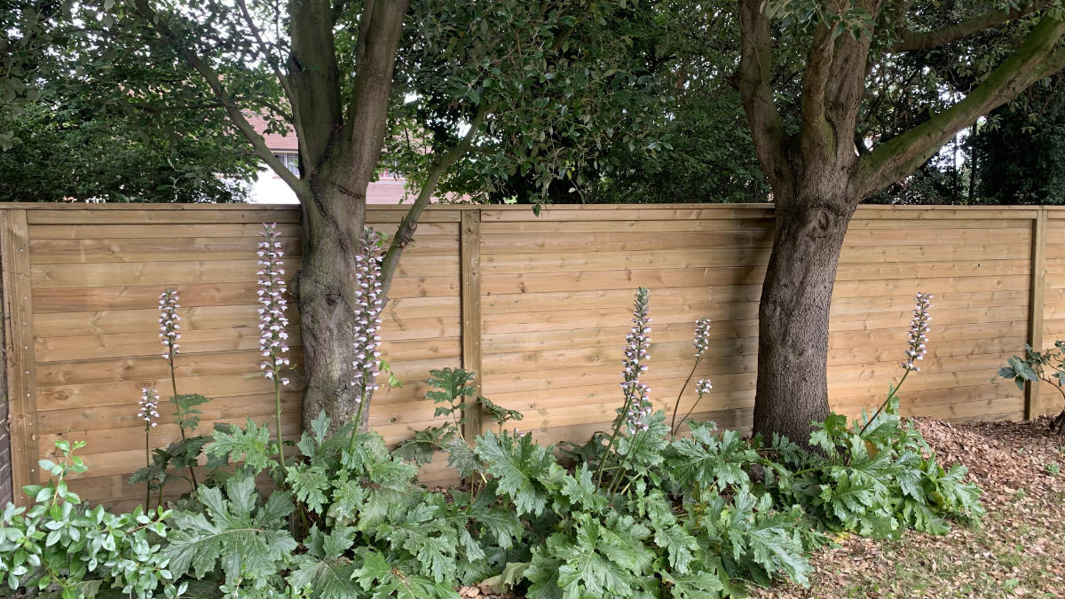 Timber fencing fits in with the natural environment.jpg