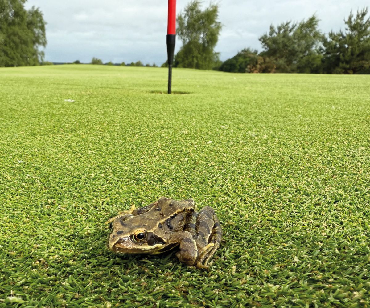 Wildlife - Lee Carratt-1200x.jpg