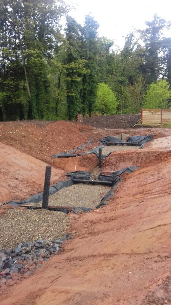 BIGGA Reed bed in development.jpg