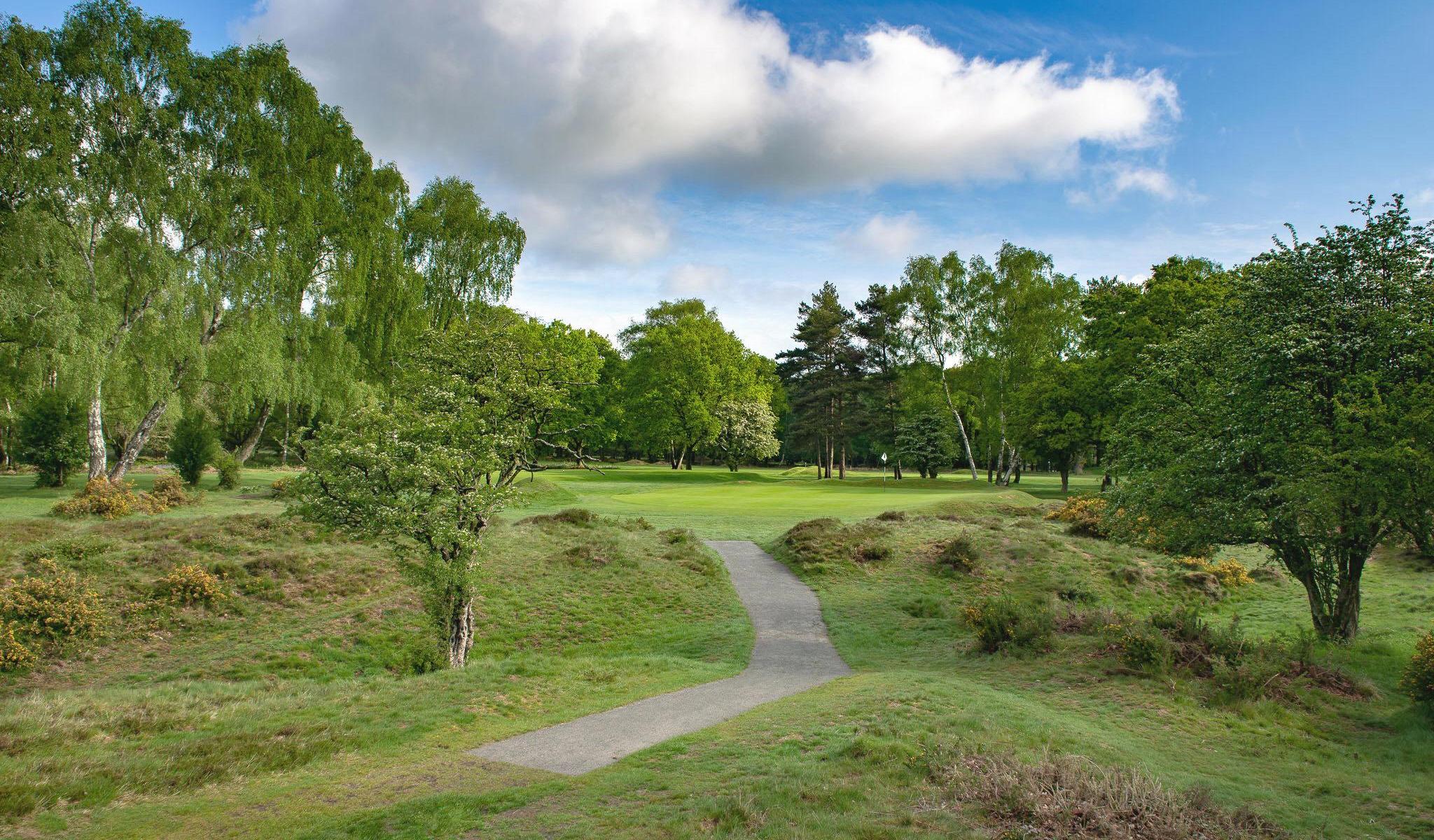 berkhamsted_sidebar_andyhiseman_gbn.jpg
