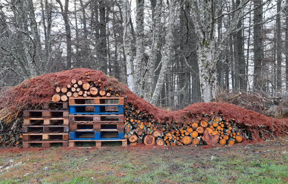 John Milne's Bug Hotel copy.jpg