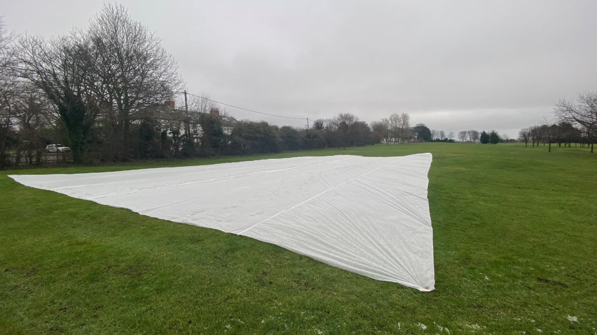 Germination sheets were used to stimulate growth.jpg