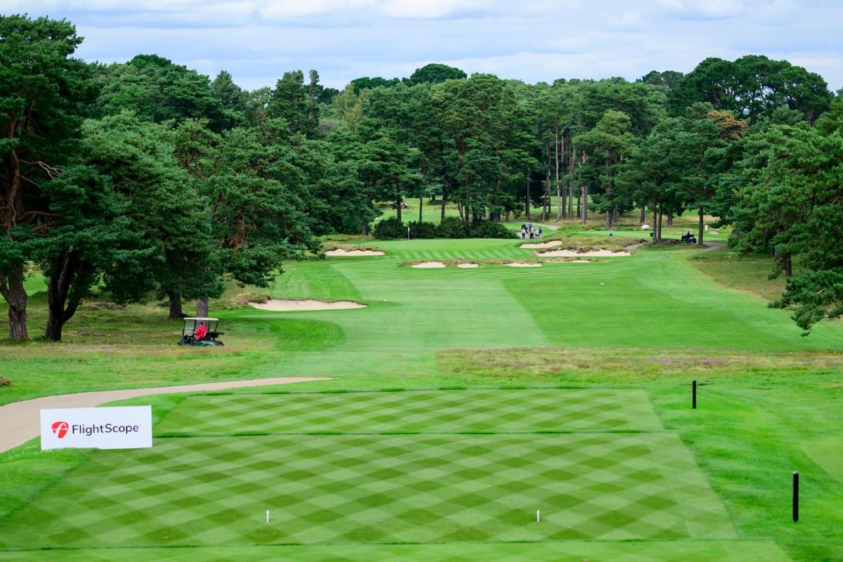 Ferndown 2.jpg