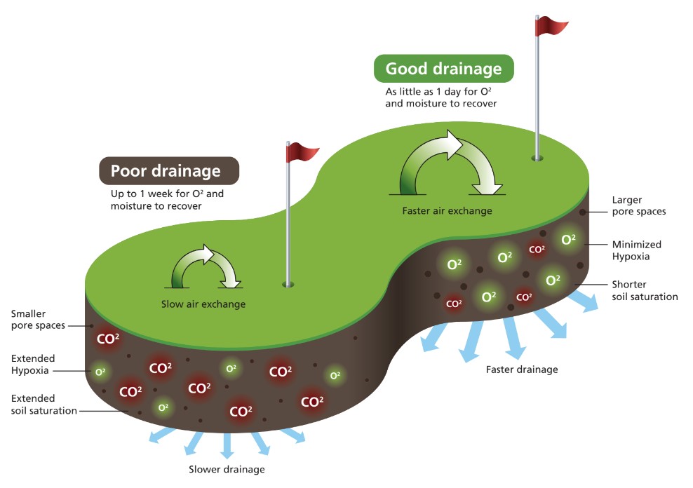 bernhard image 2.jpg