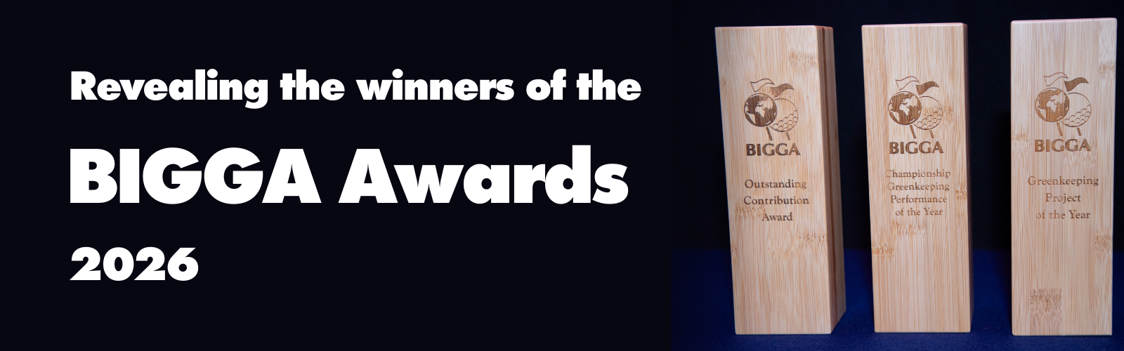 BIGGA Awards Event Listing 26 2.png