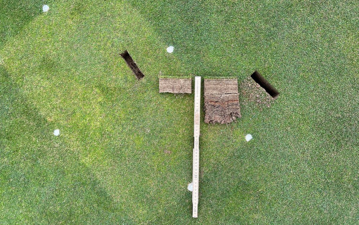 SYNGENTA IMAGE 1-1200.jpg