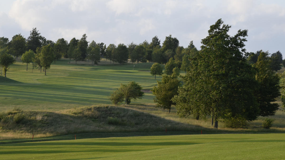 Chesfield Downs GC_0227.jpg