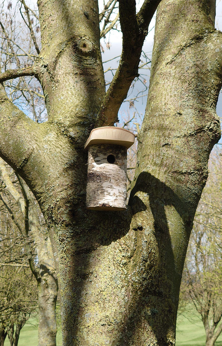 Market Harborough nest box