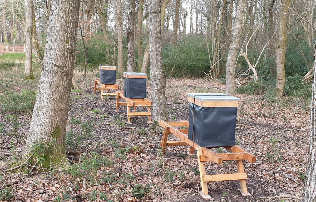 Bee hives at Brokenhurst Manor