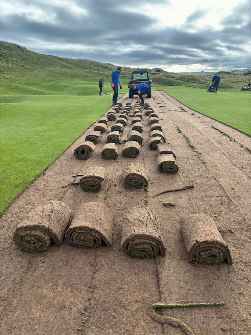 Royal Aberdeen 1.jpg