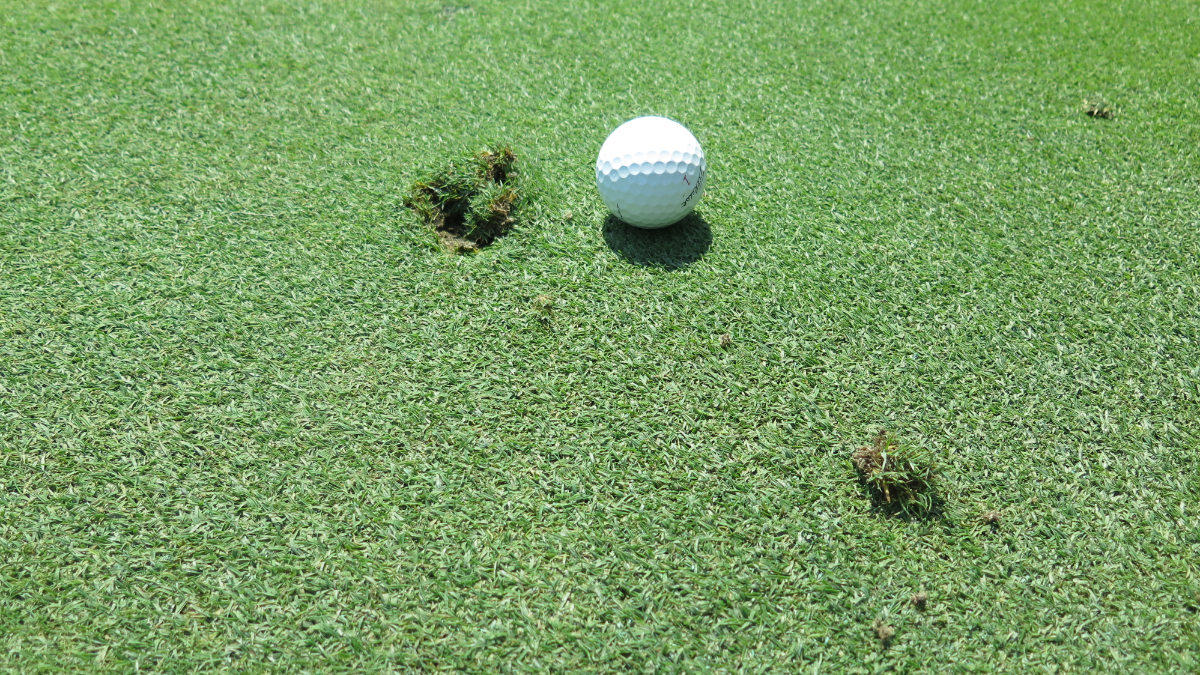 When organic matter becomes excessive, playing surfaces become soft and spongy.jpg