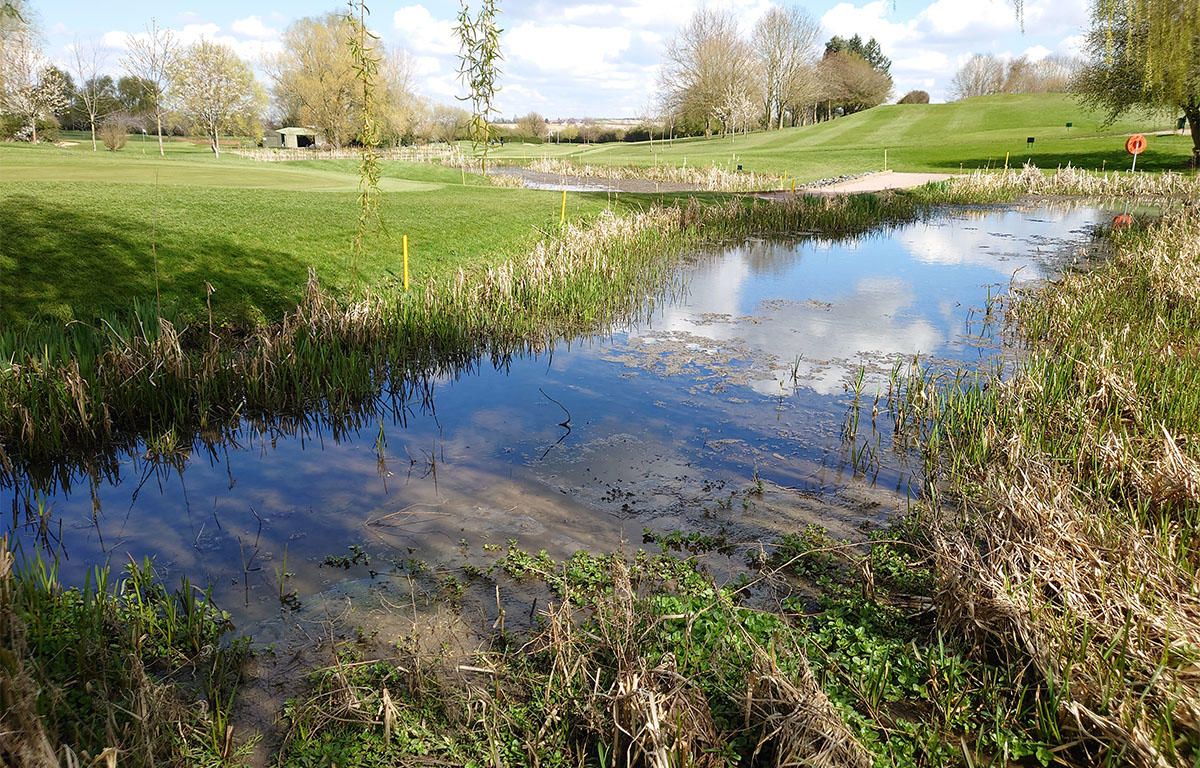 Market Harborough pond example