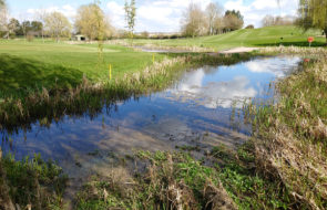 Market Harborough pond Example copy.jpg
