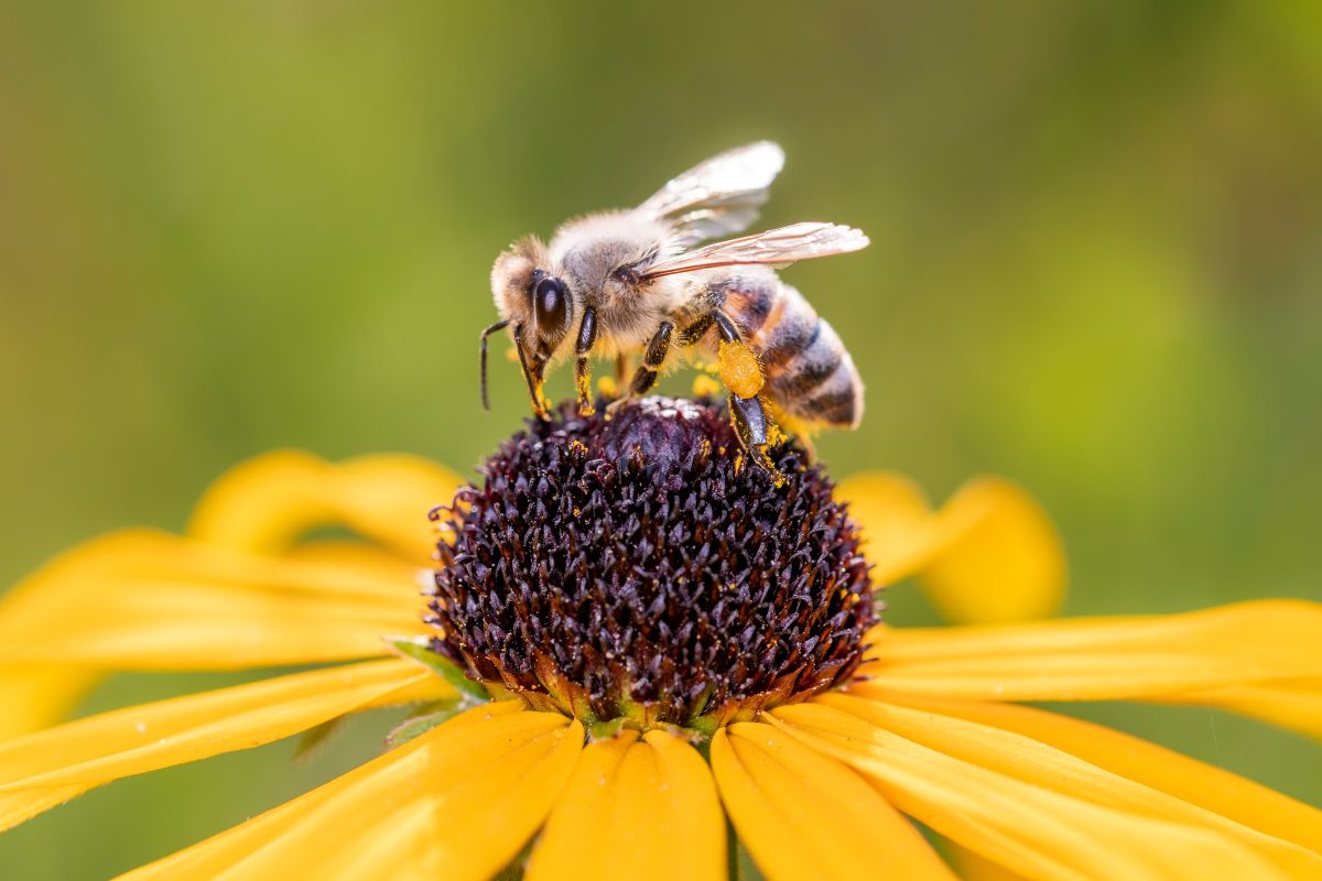 AdobeStock_369249819.jpg