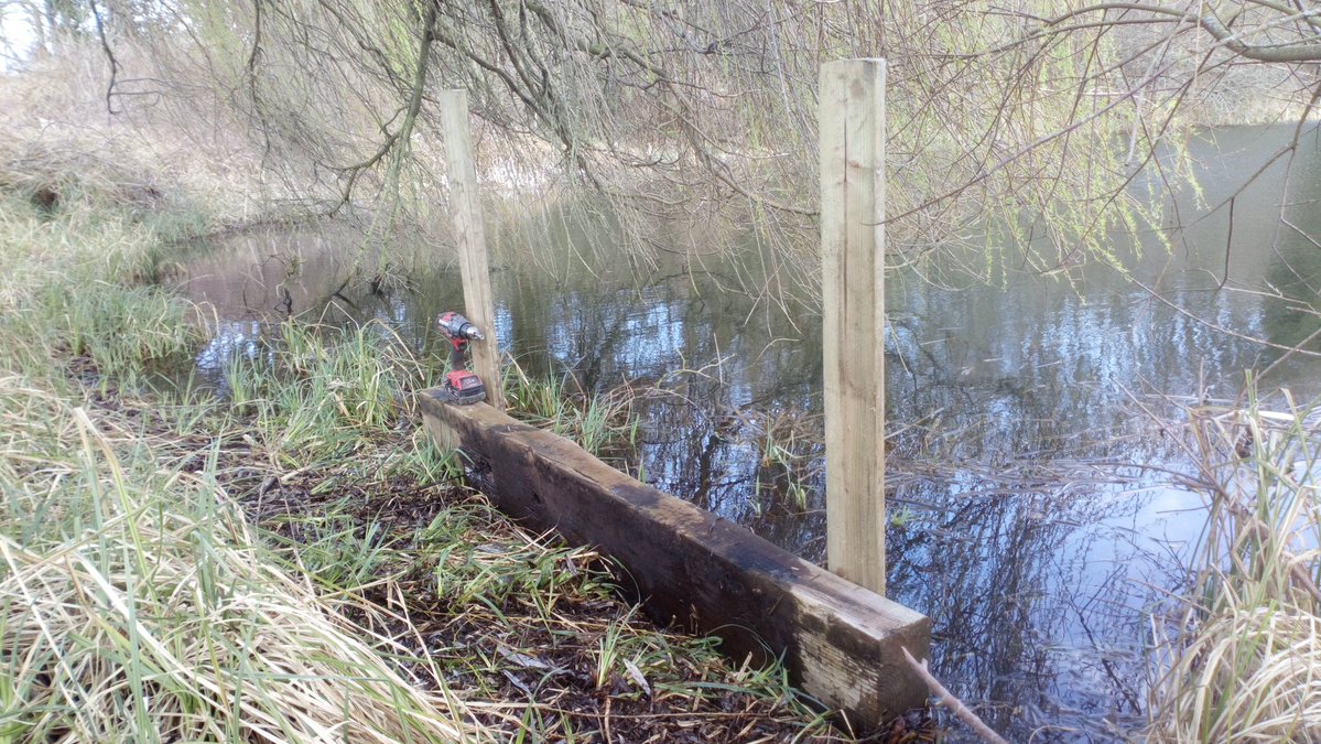 Cumberwell Park Kingfisher habitat.