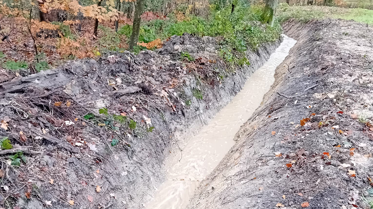 Cleared drainage channels at Worsley help water escape.jpg