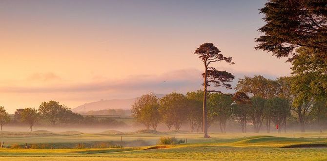 March - Adam Mitchell- Tehidy Park.jpg