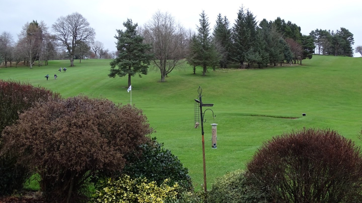 A bird feeder at Sickleholme GC.jpg