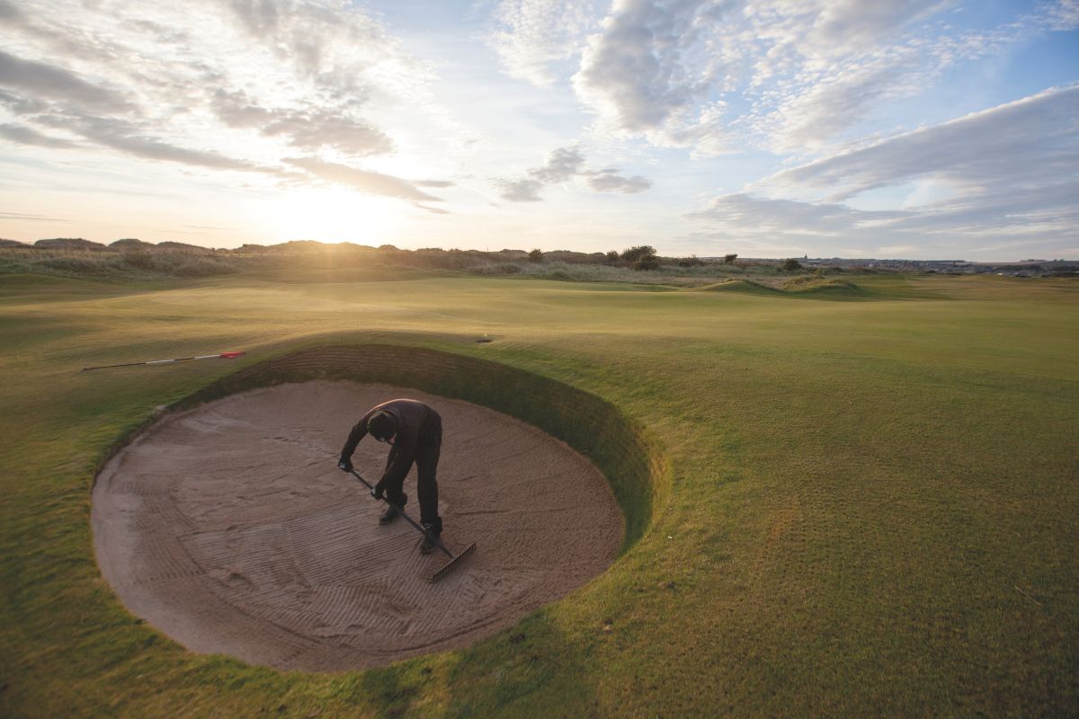 Bunker raking at St Andrews (1).jpg