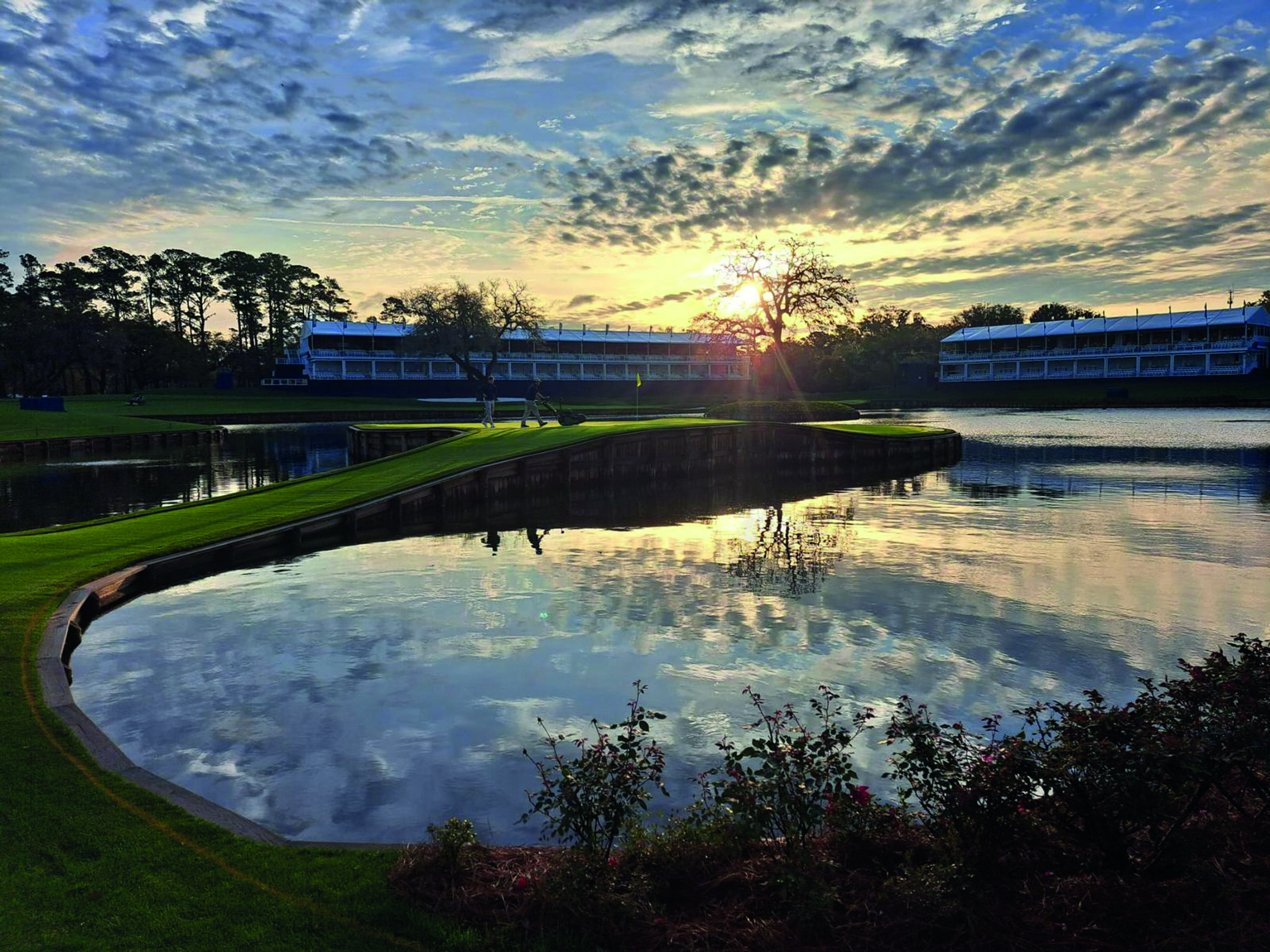 Sawgrass (1) (1).jpg