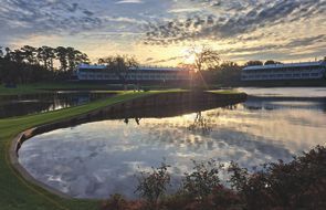 Sawgrass (1) (1).jpg