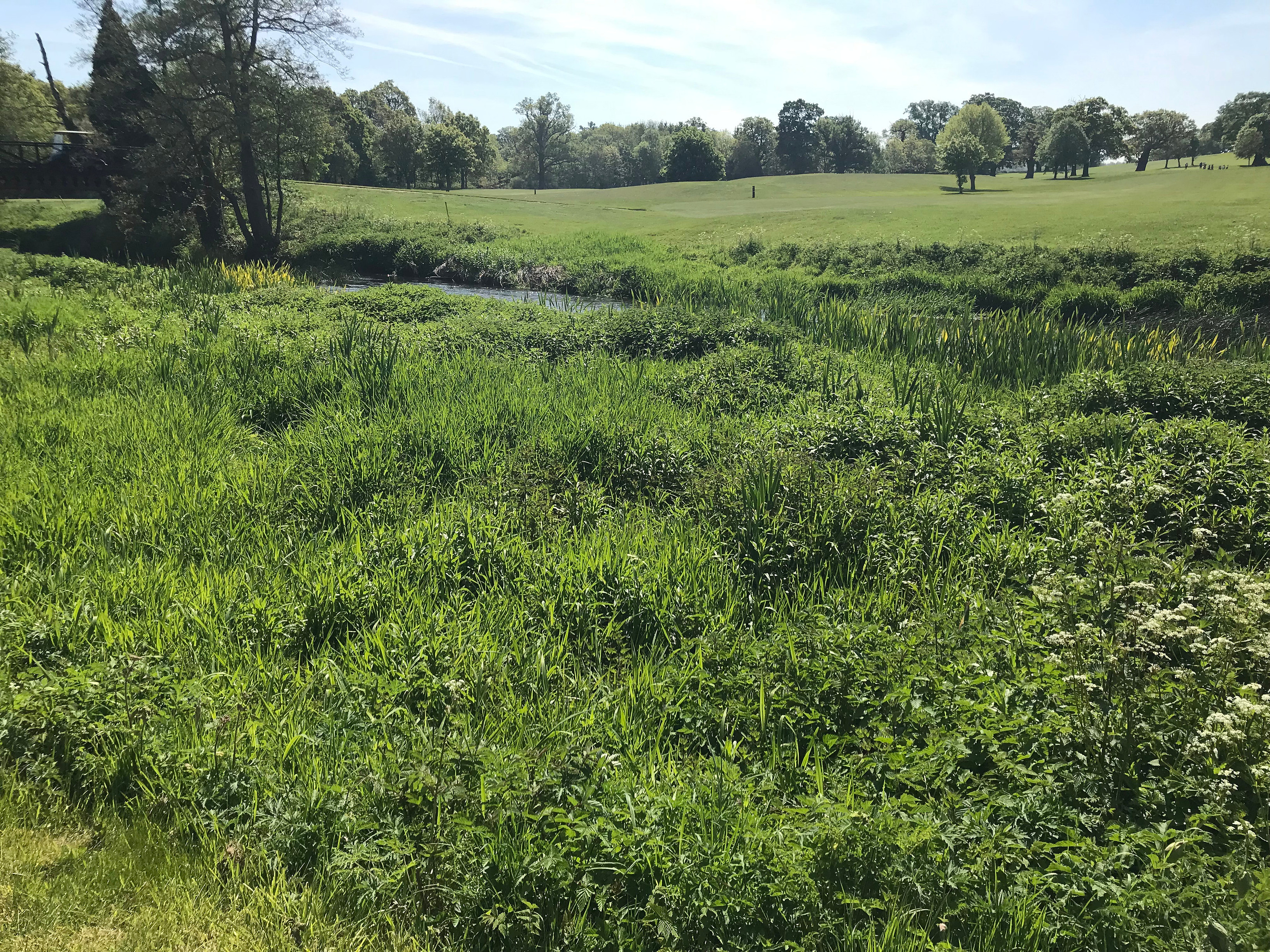 Out of play rough areas alongside the river margin at Stoneleigh Deer Park Golf Club.jpg