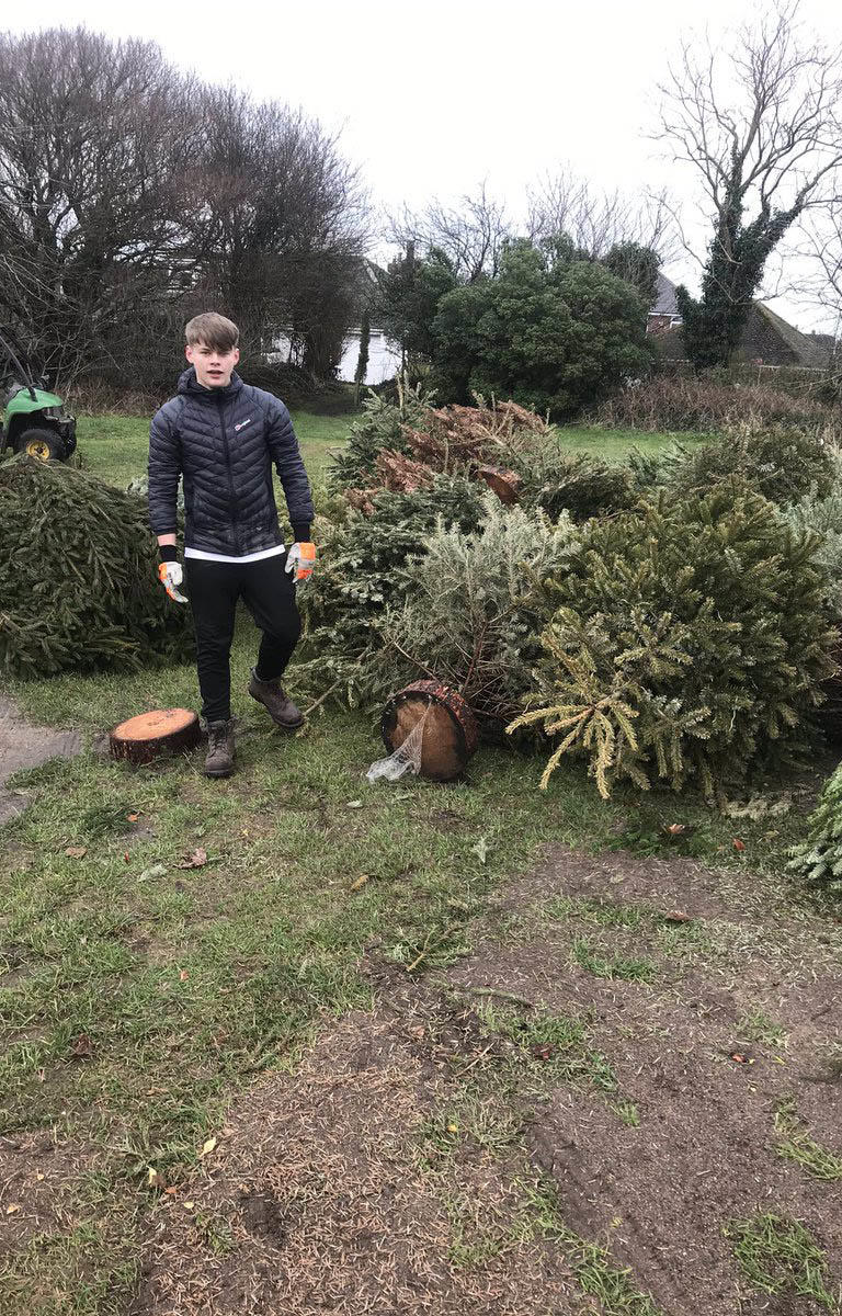 Recycling Christmas trees at Hesketh Golf Club