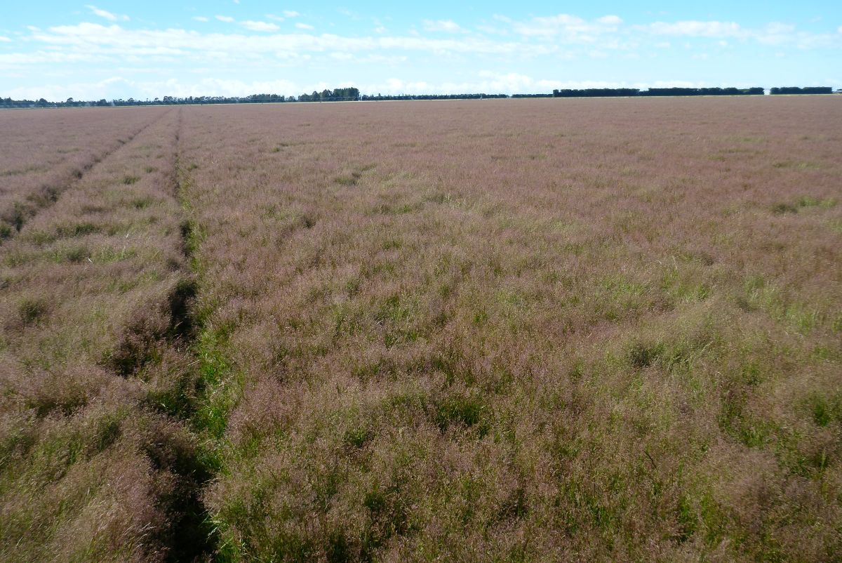 P1 LEAD P1030051.JPG