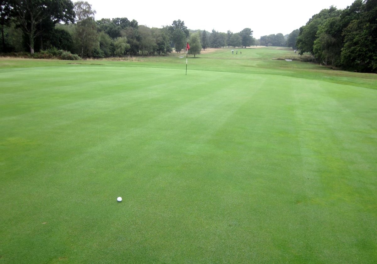 Bent surface on 15th green at Brokenhurst